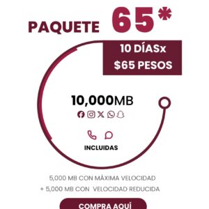 Paquete 65